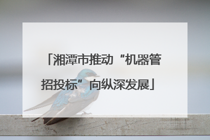 湘潭市推动“机器管招投标”向纵深发展