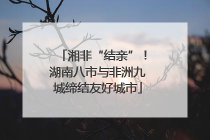 湘非“结亲”！湖南八市与非洲九城缔结友好城市