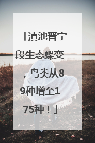 滇池晋宁段生态蝶变，鸟类从89种增至175种！