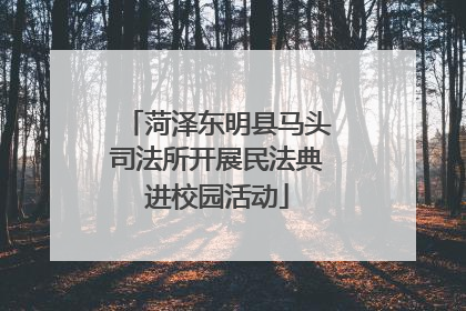 菏泽东明县马头司法所开展民法典进校园活动