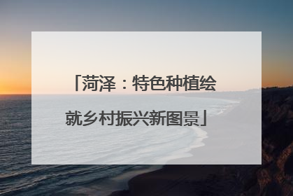 菏泽：特色种植绘就乡村振兴新图景