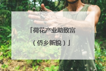 荷花产业助致富（侨乡新貌）