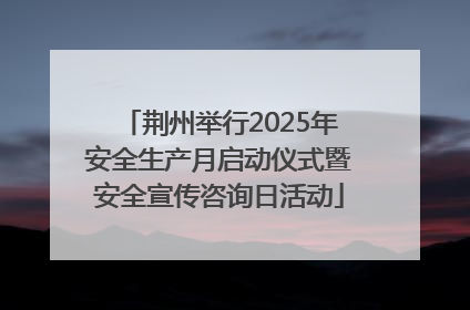 荆州举行2025年安全生产月启动仪式暨安全宣传咨询日活动