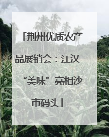 荆州优质农产品展销会：江汉“美味”亮相沙市码头