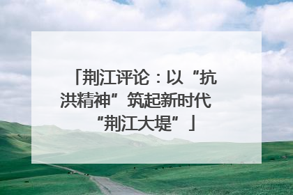 荆江评论：以“抗洪精神”筑起新时代“荆江大堤”