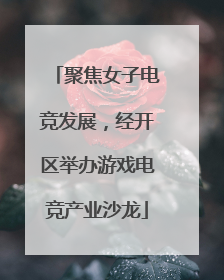 聚焦女子电竞发展，经开区举办游戏电竞产业沙龙