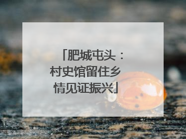 肥城屯头：村史馆留住乡情见证振兴