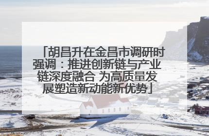 胡昌升在金昌市调研时强调：推进创新链与产业链深度融合 为高质量发展塑造新动能新优势