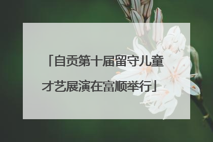 自贡第十届留守儿童才艺展演在富顺举行
