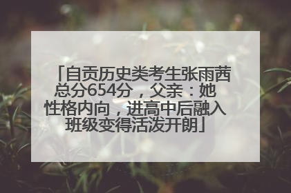 自贡历史类考生张雨茜总分654分，父亲：她性格内向，进高中后融入班级变得活泼开朗