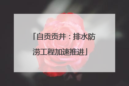 自贡贡井：排水防涝工程加速推进
