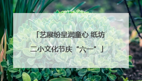 艺展纷呈润童心 纸坊二小文化节庆“六一”