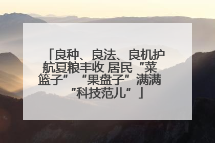良种、良法、良机护航夏粮丰收 居民“菜篮子”“果盘子”满满“科技范儿”