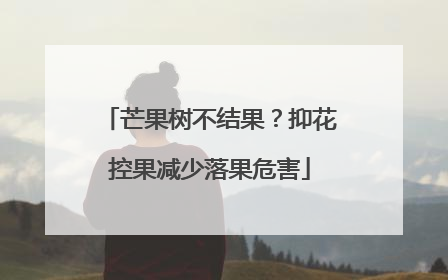 芒果树不结果？抑花控果减少落果危害