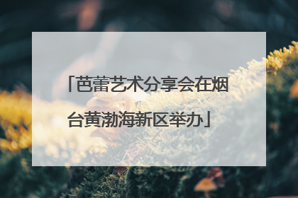 芭蕾艺术分享会在烟台黄渤海新区举办