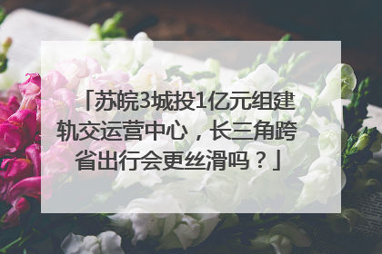 苏皖3城投1亿元组建轨交运营中心，长三角跨省出行会更丝滑吗？