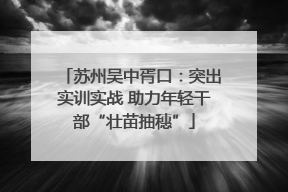 苏州吴中胥口：突出实训实战 助力年轻干部“壮苗抽穗”