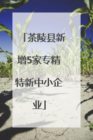 茶陵县新增5家专精特新中小企业