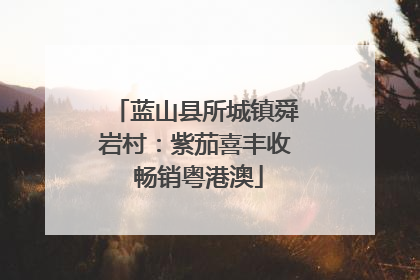 蓝山县所城镇舜岩村：紫茄喜丰收 畅销粤港澳