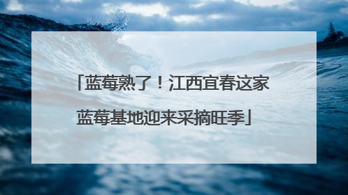 蓝莓熟了！江西宜春这家蓝莓基地迎来采摘旺季