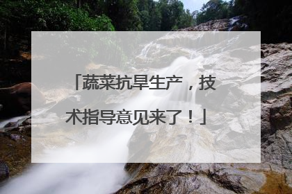 蔬菜抗旱生产，技术指导意见来了！