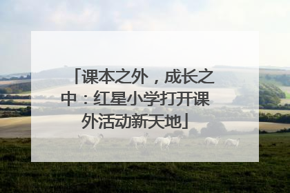 课本之外，成长之中：红星小学打开课外活动新天地