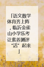语文数学体育齐上阵，临沂金雀山小学乐考让素养测评“活”起来