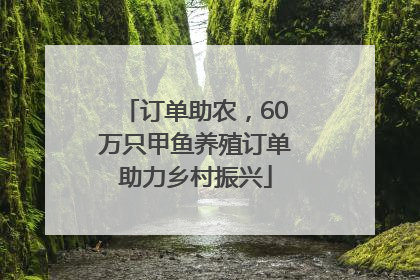 订单助农，60万只甲鱼养殖订单助力乡村振兴