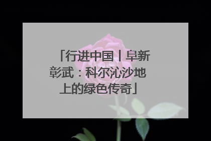 行进中国丨阜新彰武：科尔沁沙地上的绿色传奇