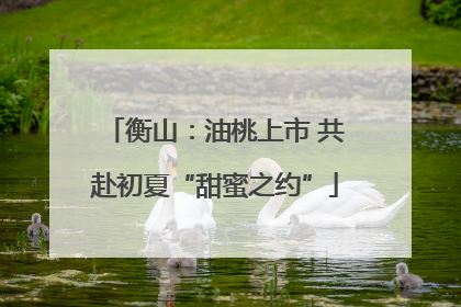 衡山：油桃上市 共赴初夏“甜蜜之约”