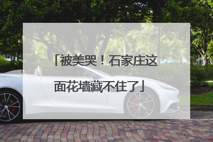 被美哭！石家庄这面花墙藏不住了