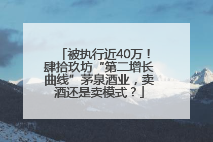 被执行近40万！肆拾玖坊“第二增长曲线”茅泉酒业，卖酒还是卖模式？