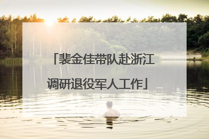 裴金佳带队赴浙江调研退役军人工作