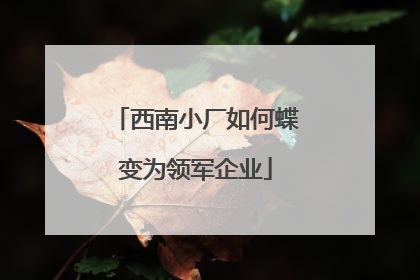西南小厂如何蝶变为领军企业
