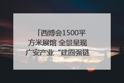 西博会1500平方米展馆 全景呈现广安产业“建圈强链”｜西博视界