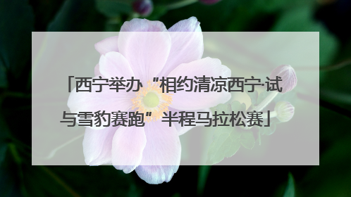西宁举办“相约清凉西宁·试与雪豹赛跑”半程马拉松赛