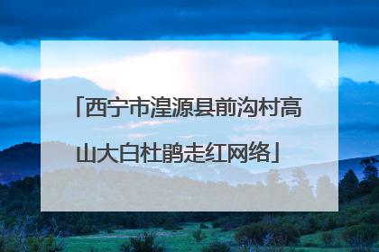 西宁市湟源县前沟村高山大白杜鹃走红网络