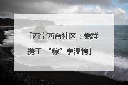 西宁西台社区：党群携手 “粽”享温情