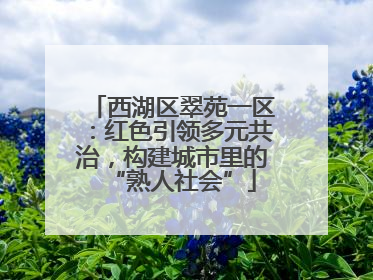 西湖区翠苑一区：红色引领多元共治，构建城市里的“熟人社会”