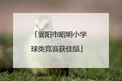 襄阳市昭明小学球类竞赛获佳绩
