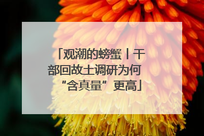 观潮的螃蟹丨干部回故土调研为何“含真量”更高