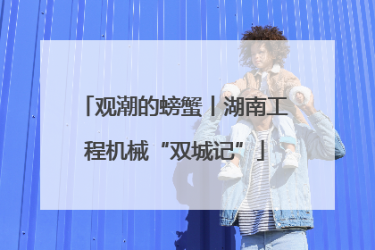 观潮的螃蟹丨湖南工程机械“双城记”