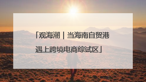 观海潮｜当海南自贸港遇上跨境电商综试区