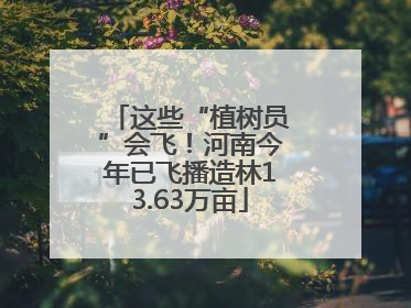 这些“植树员”会飞！河南今年已飞播造林13.63万亩