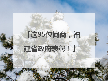 这95位闽商，福建省政府表彰！