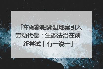 车碾鄱阳湖湿地案引入劳动代偿：生态法治在创新尝试｜有一说一