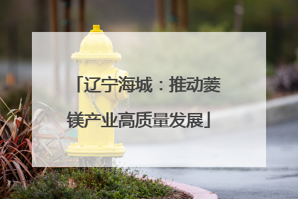 辽宁海城：推动菱镁产业高质量发展