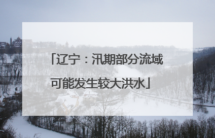 辽宁：汛期部分流域可能发生较大洪水