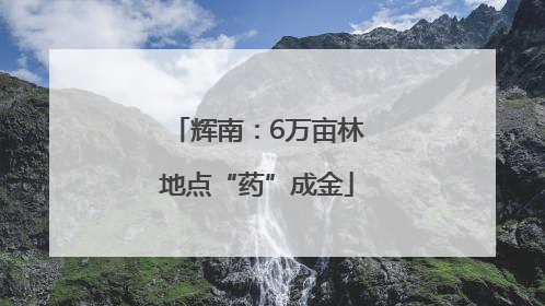 辉南：6万亩林地点“药”成金