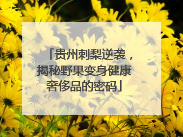 贵州刺梨逆袭，揭秘野果变身健康奢侈品的密码